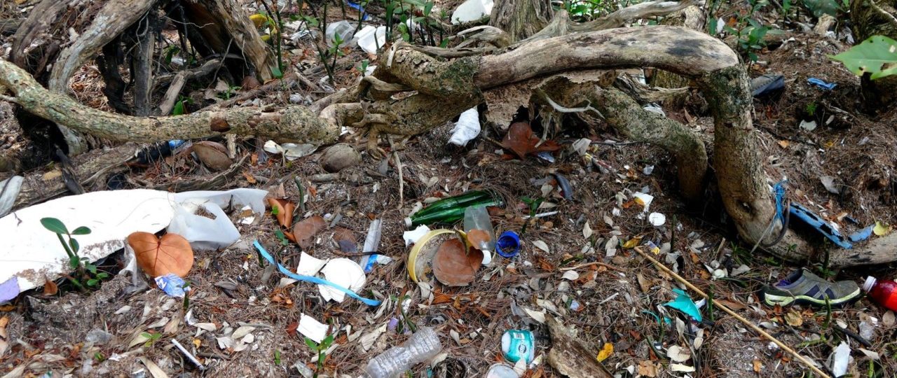 City Of Miami Beach Code Violations Search City Of Miami Beach Code Violations Search