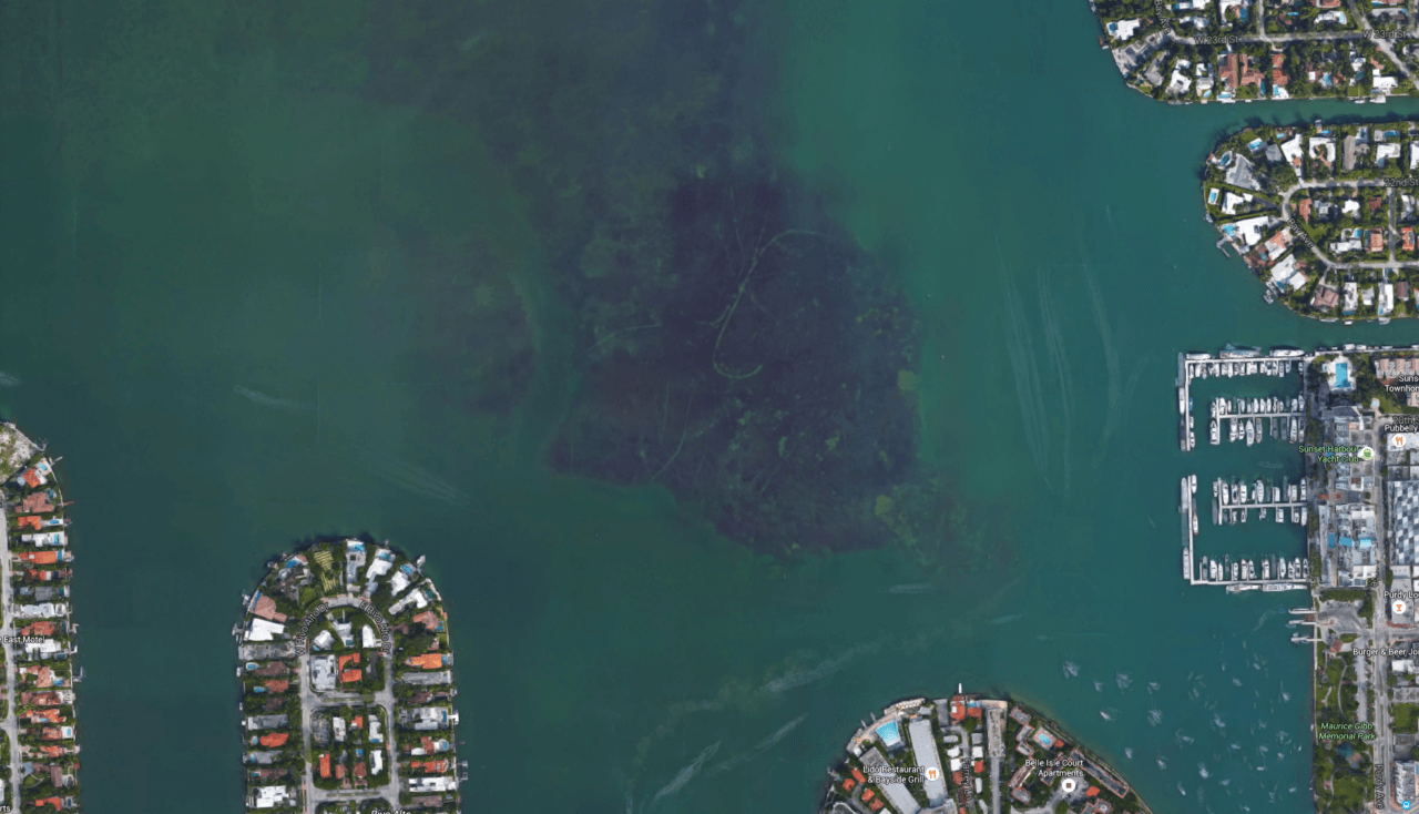 Grounding and prop scars in Biscayne Bay near South Beach