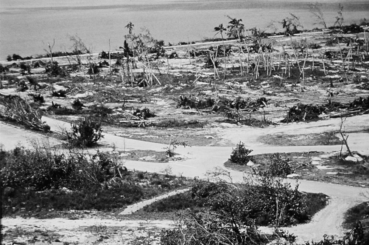Cape Florida State Park After Hurricane Andrew